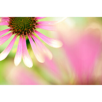 Tamron aff072s700 29
