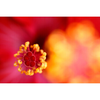 Tamron aff072z700 28