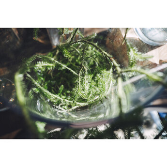 Tamron 17-70mm f/2.8 Di III-A VC RXD Lens (Nikon Z) — thumbnail 23