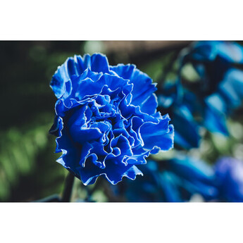 Tamron 17-70mm f/2.8 Di III-A VC RXD Lens (Nikon Z) — thumbnail 26