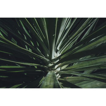 Tamron 17-70mm f/2.8 Di III-A VC RXD Lens (Nikon Z) — thumbnail 27