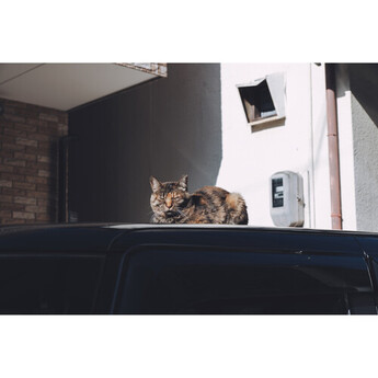 Tamron 17-70mm f/2.8 Di III-A VC RXD Lens (Nikon Z) — thumbnail 32