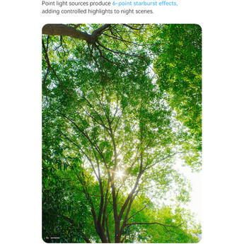 TTArtisan AF 17mm f/1.8 Air Lens (Nikon Z) — thumbnail 26