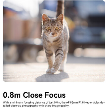 TTArtisan AF 85mm f/1.8 Neo Lens (Sony E) — thumbnail 21
