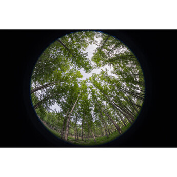 Venus optics Laowa 8-15mm f/2.8 Fisheye Lens (L-Mount) — thumbnail 16