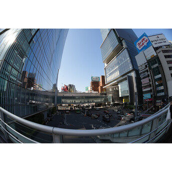 Venus optics Laowa 8-15mm f/2.8 Fisheye Lens (L-Mount) — thumbnail 9