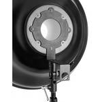 Mola mld03 1