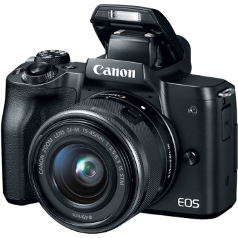 Canon 2680c011 2