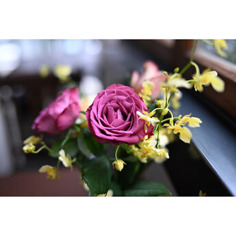 Nikon Z5 IIC Mirrorless Camera (Silver) — thumbnail 37