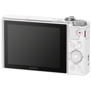 Sony dscwx500 w 10