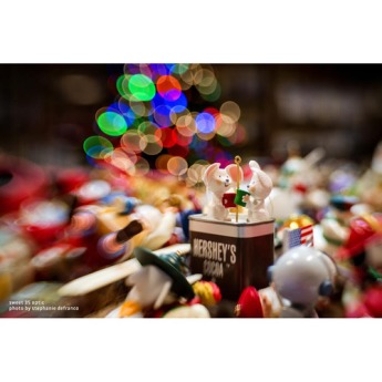 Lensbaby lbcp235c 5