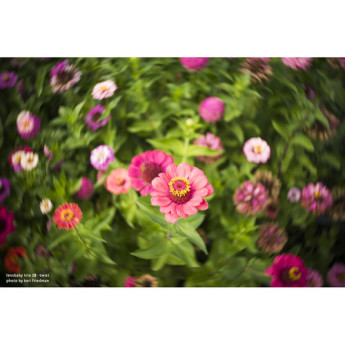 Lensbaby lbtr28crf 7