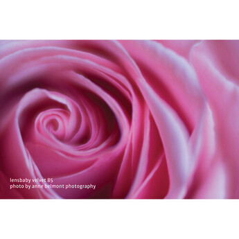 Lensbaby Velvet 85mm f/1.8 Lens for Canon RF — thumbnail 16