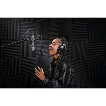 Rode NT1 Signature Series Large-Diaphragm Condenser Microphone (Black) — thumbnail 13