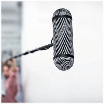 Dpa microphones 4017b r 5