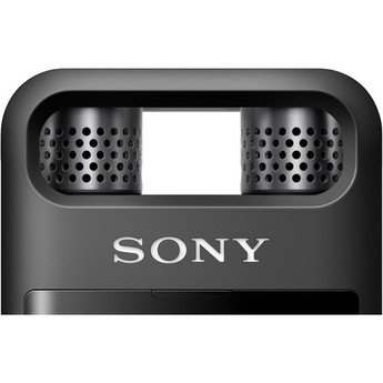 Sony pcm a10 11