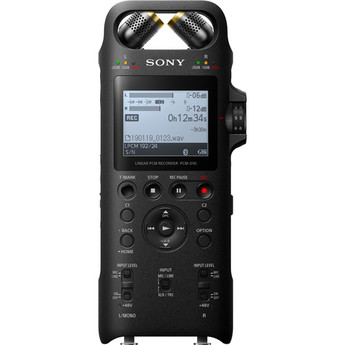 Sony pcm d10 1