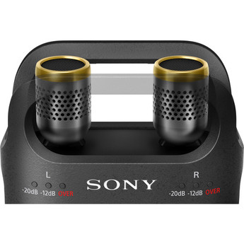 Sony pcm d10 8
