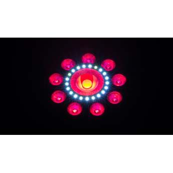 Chauvet dj fxpar9 2