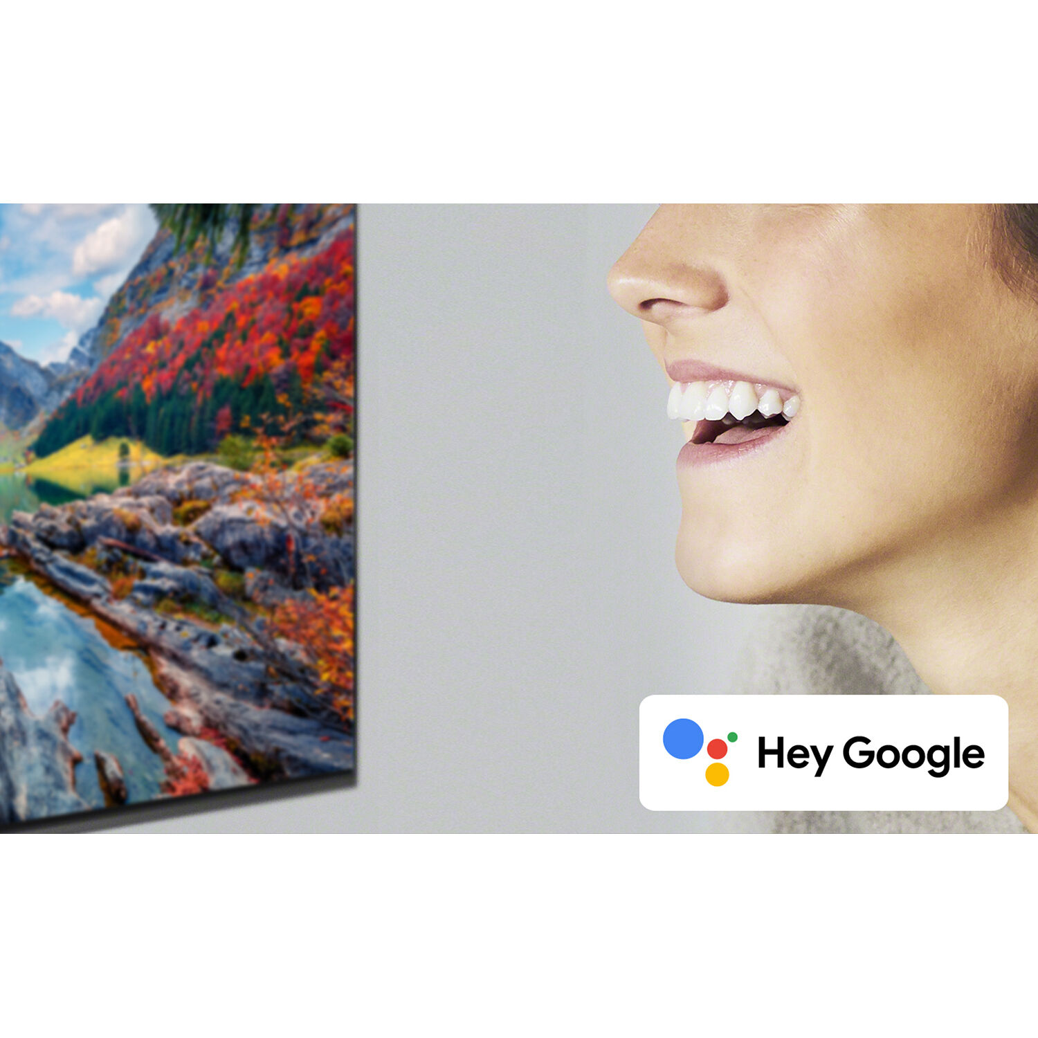 Sony BRAVIA XR A95L 65