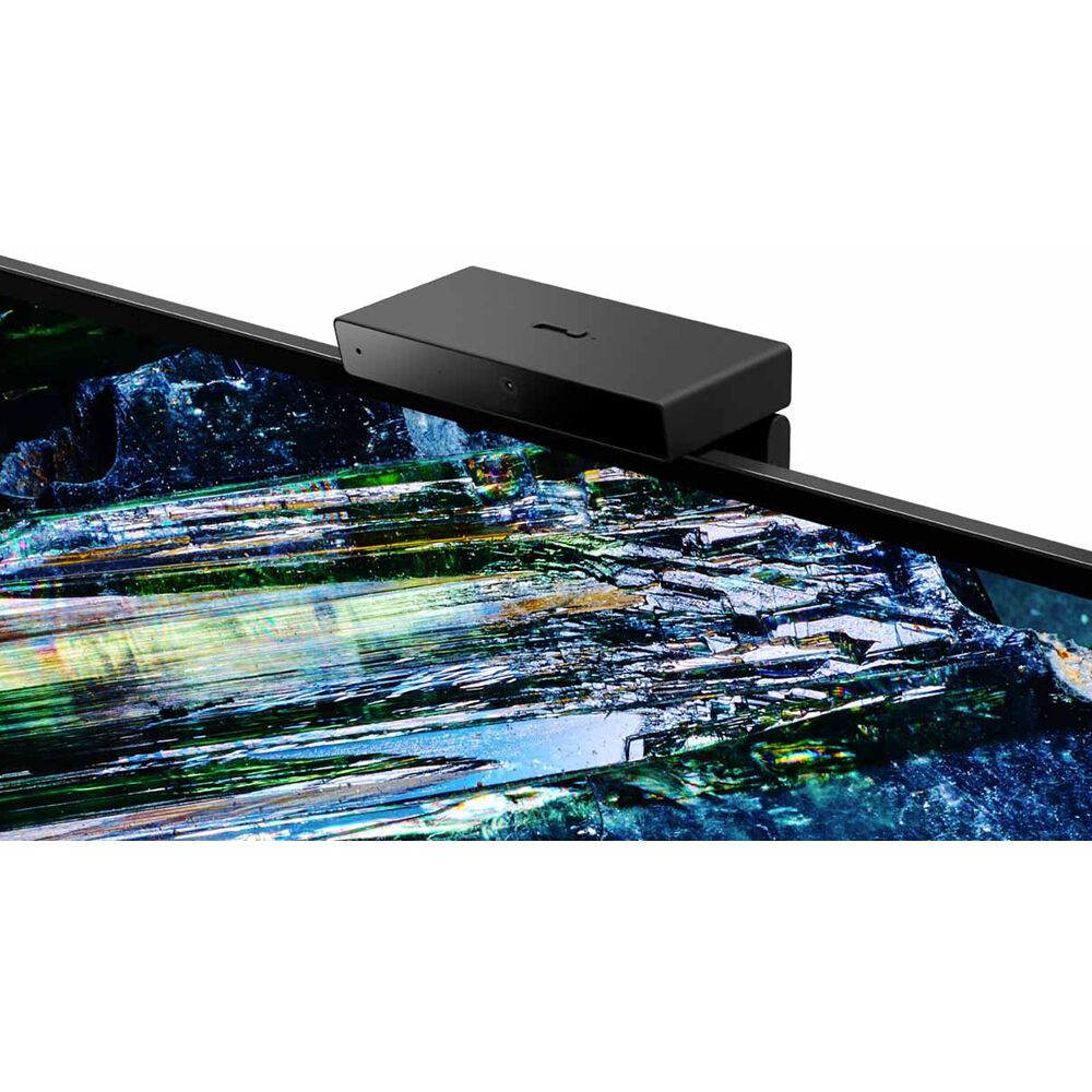 Sony BRAVIA XR A95L 65