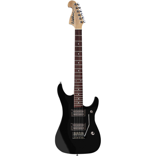 Washburn_USM-N1B_2.jpg