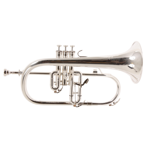 Blessing BFH-1541T Series Bb Flugelhorn BFH-1541RT Lacquer Rose