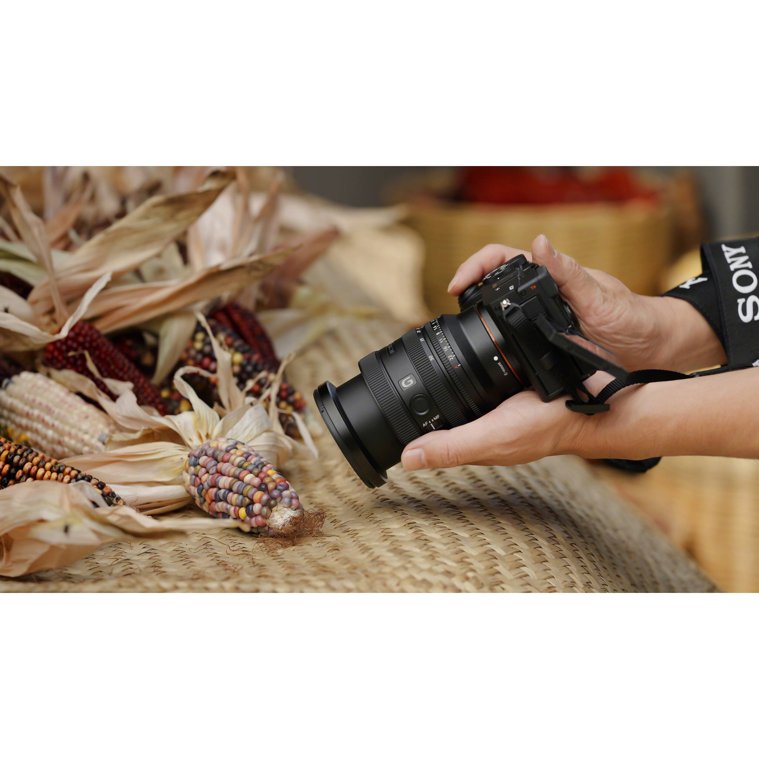 Sony FE 24-50mm f/2.8 G Lens (Sony E) SEL2450G Greentoe