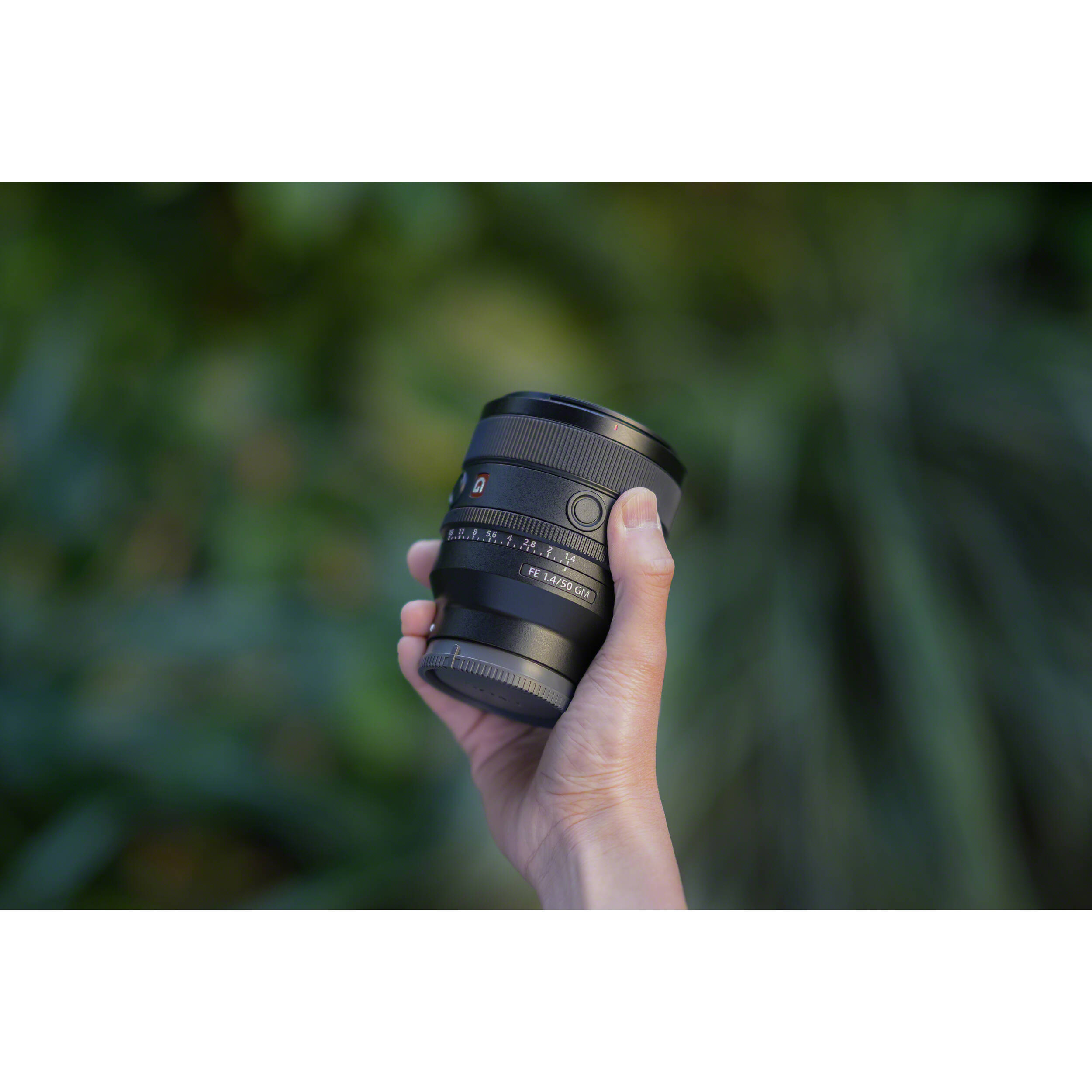 Sony 50mm F1.4, FE 50mm f/1.4 GM Lens (Sony 50mm F1.4 for E-mount 