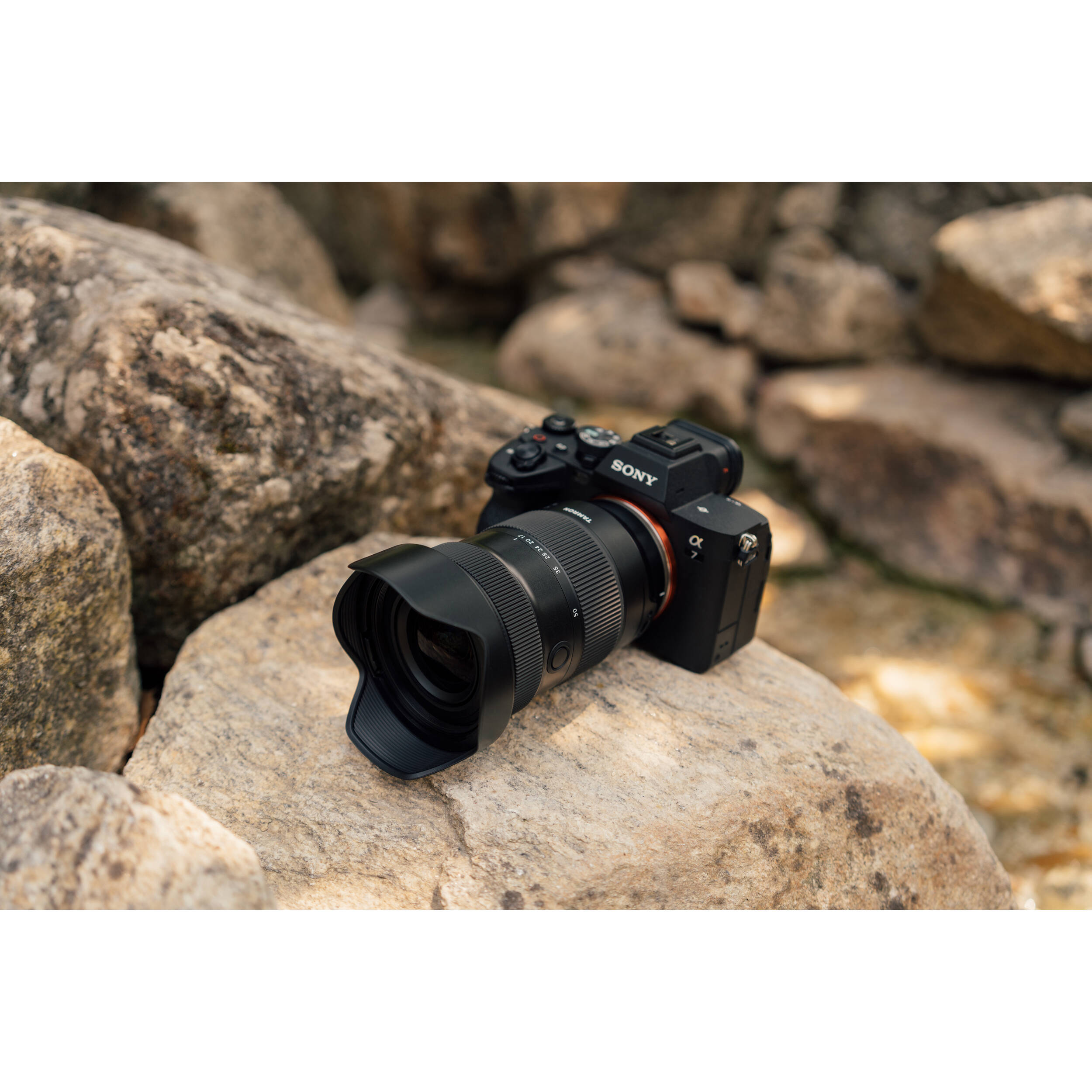 TAMRON 17-50mm F/4 Di III VXD　　ソニーE用　極美品 Tamron 17-50mm Sony E-Mount Wide-Angle Zoom Lens