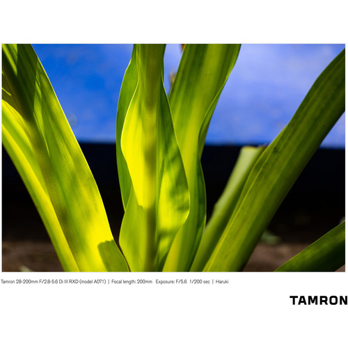 TAMRON - ♥︎◇近くも遠くもOKです♪ ◇TAMRON 28-200mm PENTAX ♪ Amazon | TAMRON AF28-200mmF3.8-5.6 XR A03 ペンタックス用
