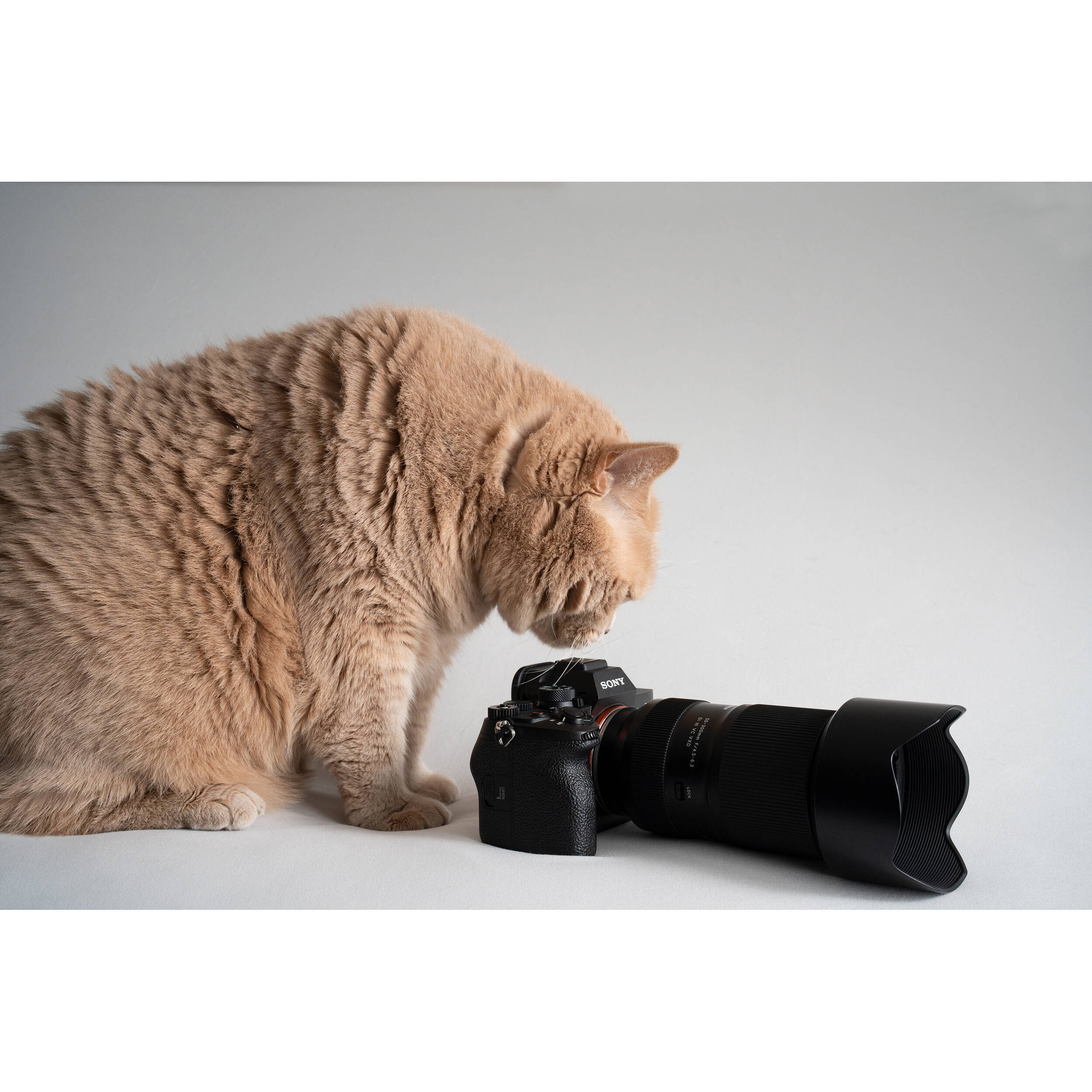 Tamron 50-300mm f/4.5-6.3 Di III VC VXD Lens (Sony E) AFA069S700