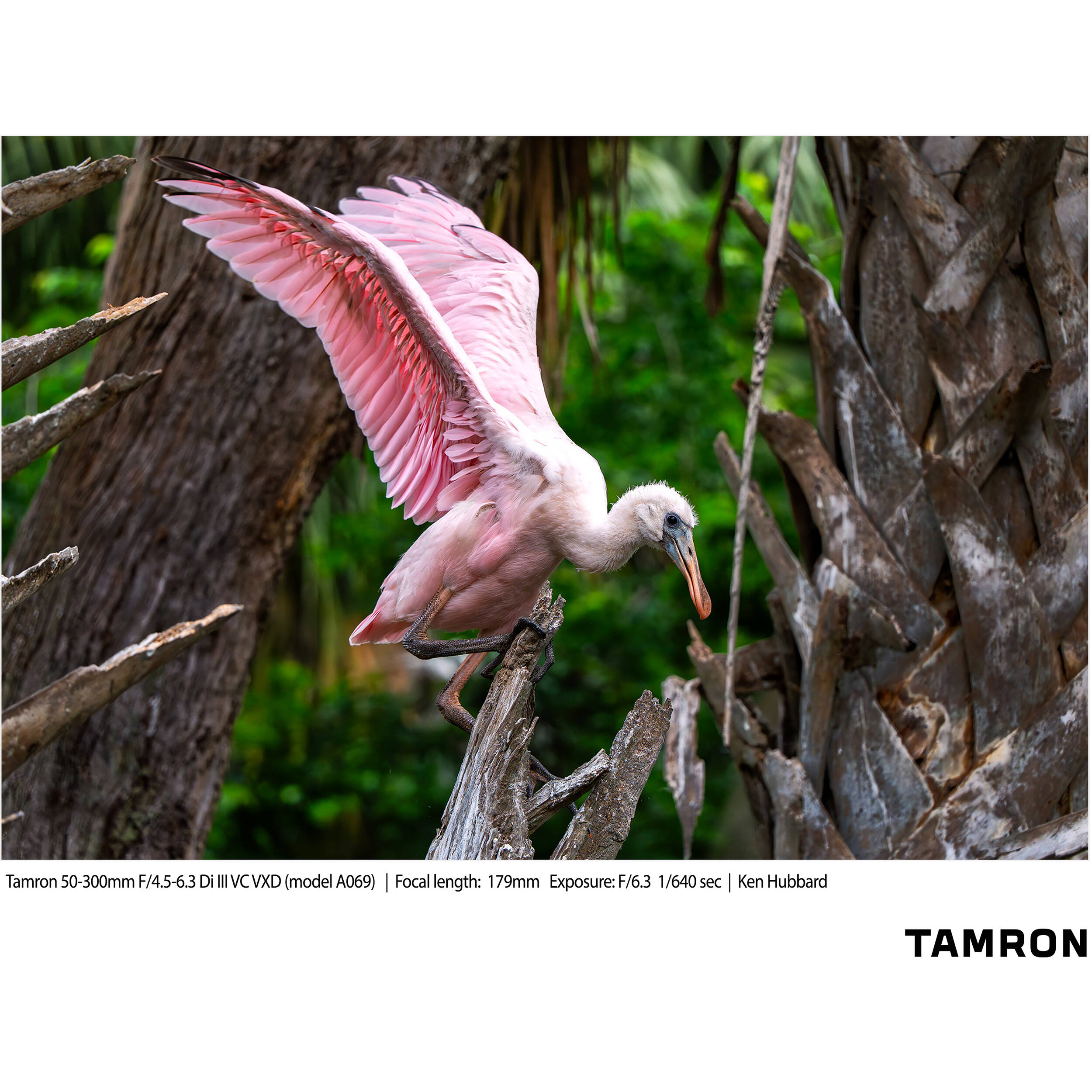 Tamron 50-300mm f/4.5-6.3 Di III VC VXD Lens (Sony E) AFA069S700