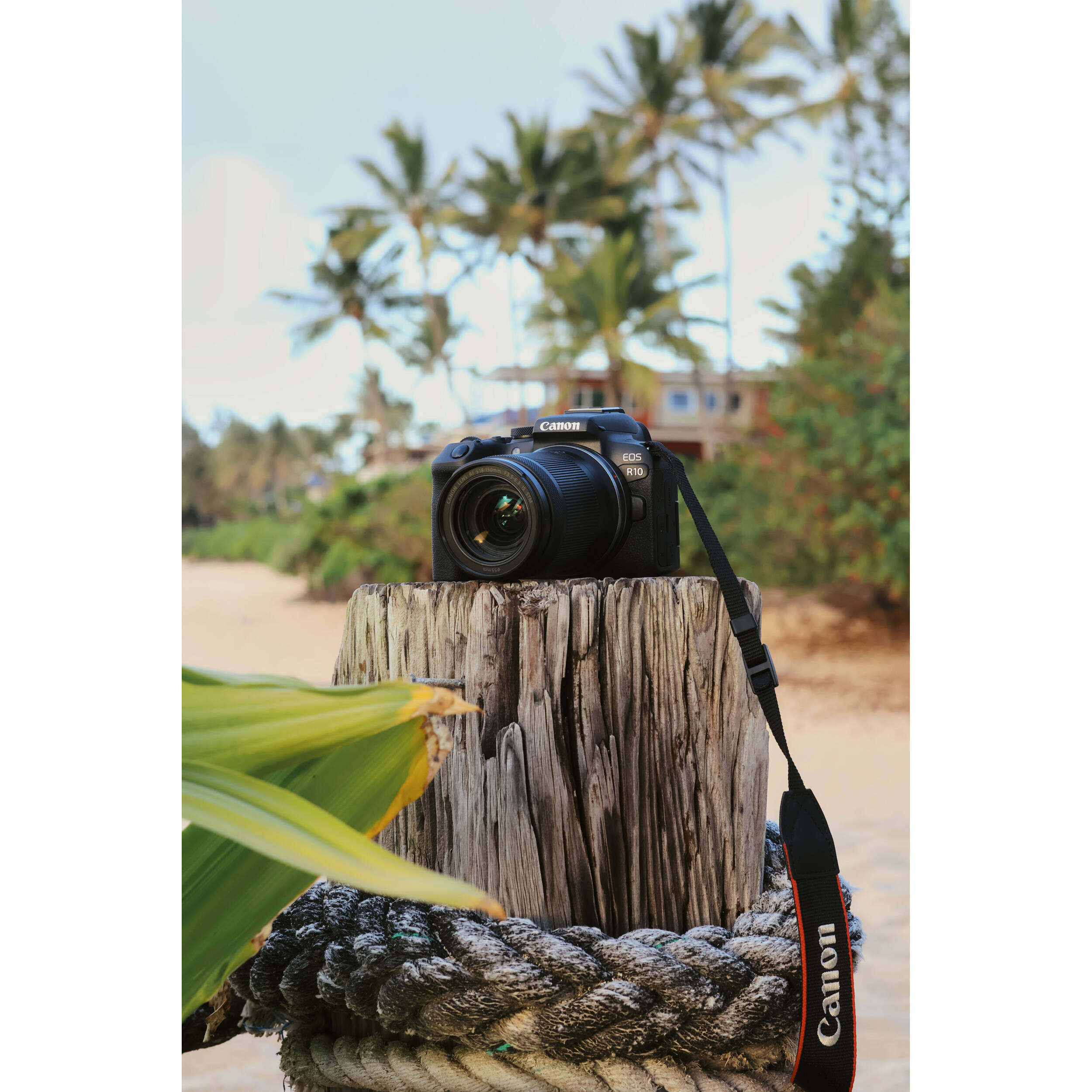 Canon R10 EOS Mirrorless Camera (R10 EOS Camera) - Greentoe