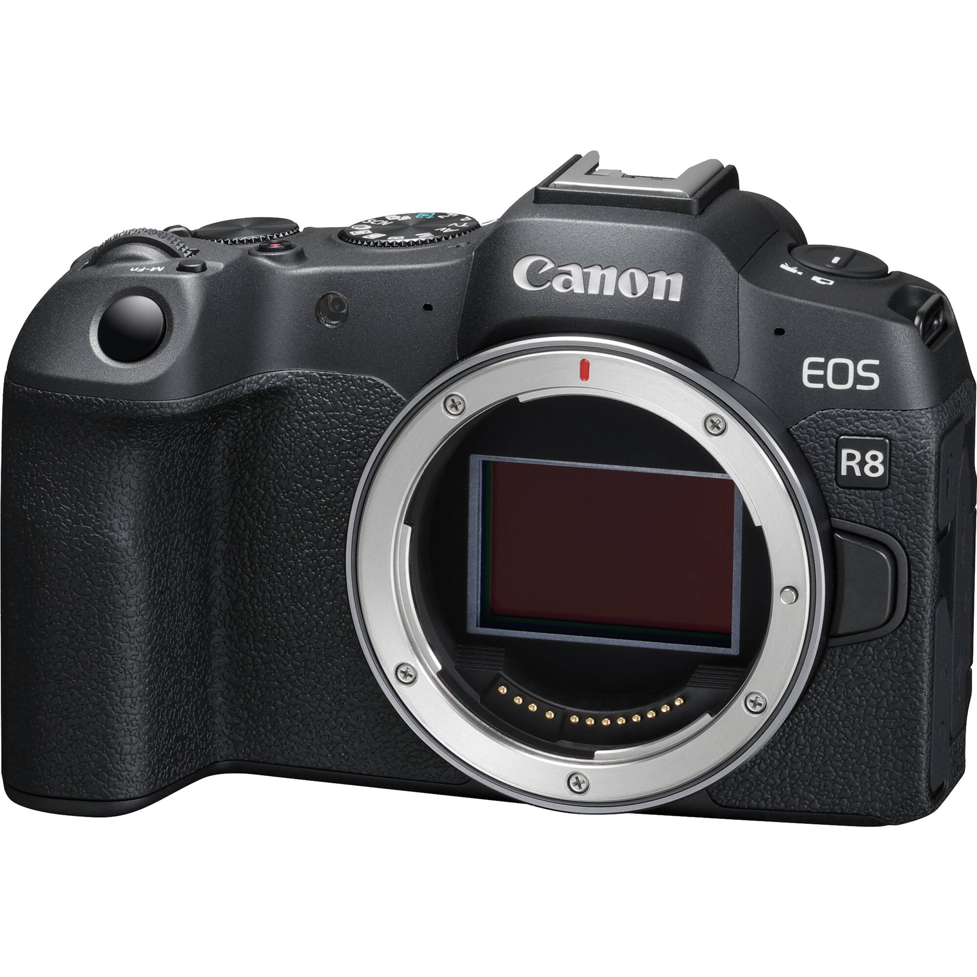 Canonカメラ Canon R8 EOS Mirrorless Camera (R8 Camera Body MFR # 5803C002