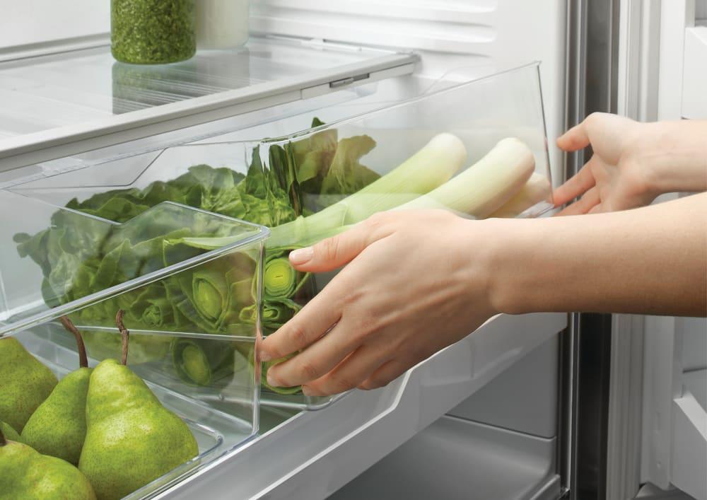 RF170ADX4N by Fisher Paykel - French Door Refrigerators| Greentoe.com