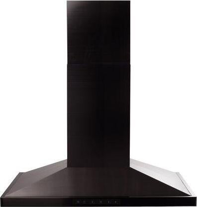 Z Line ZLINE BSGL2IN42 42 Inch Island Mount Hood