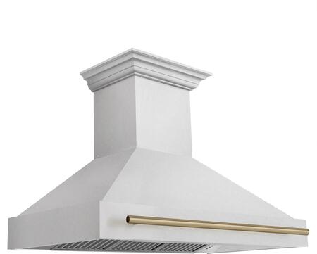 Z Line ZLINE 8654SNZ48CB Autograph Edition Series 48 Inch Wall Mount Ducted Hood