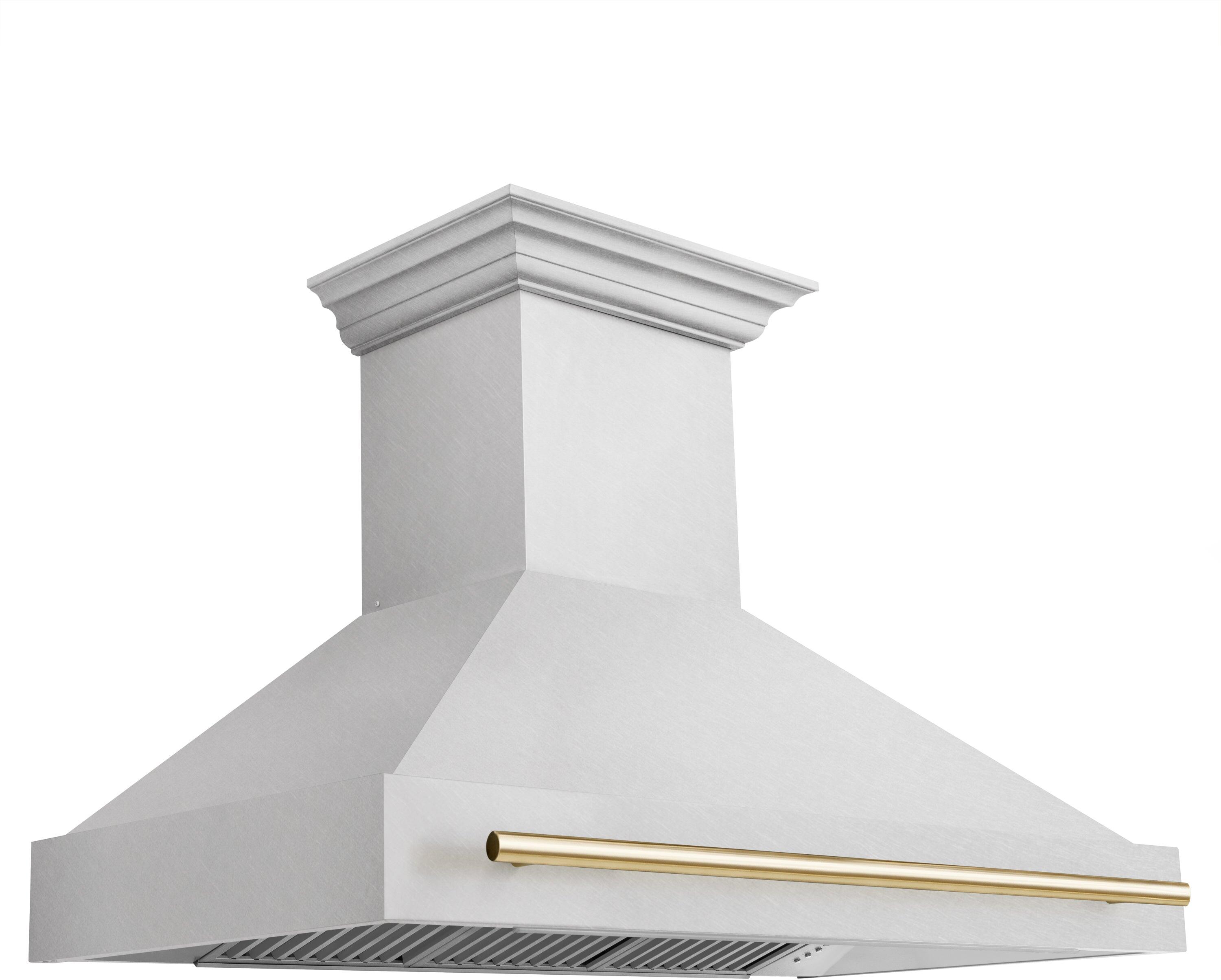 Z Line ZLINE 8654SNZ48G Autograph Edition Series 48 Inch Wall Mount Ducted Hood