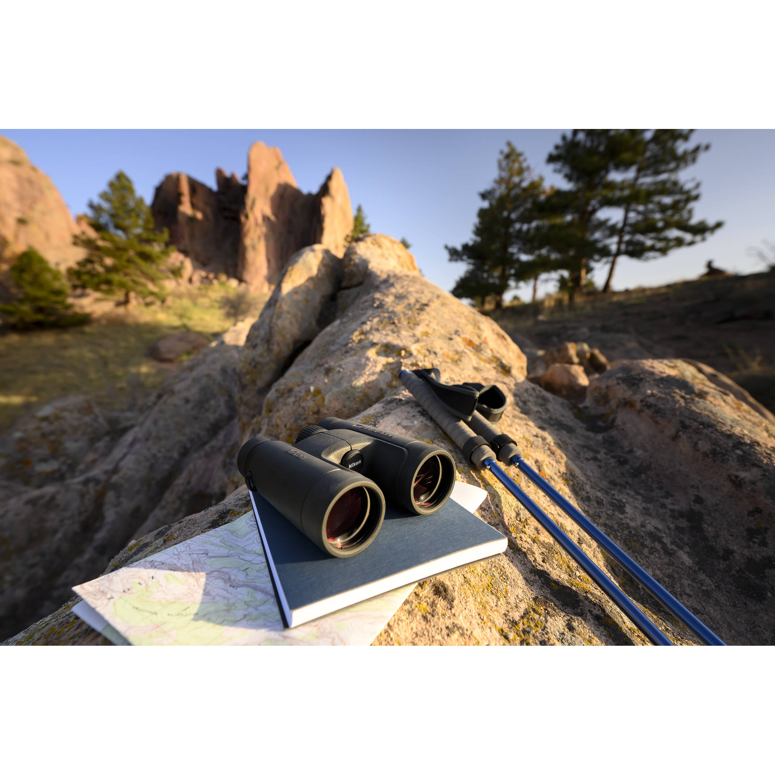 Nikon PROSTAFF P7 8x42 Binoculars 16772 Greentoe