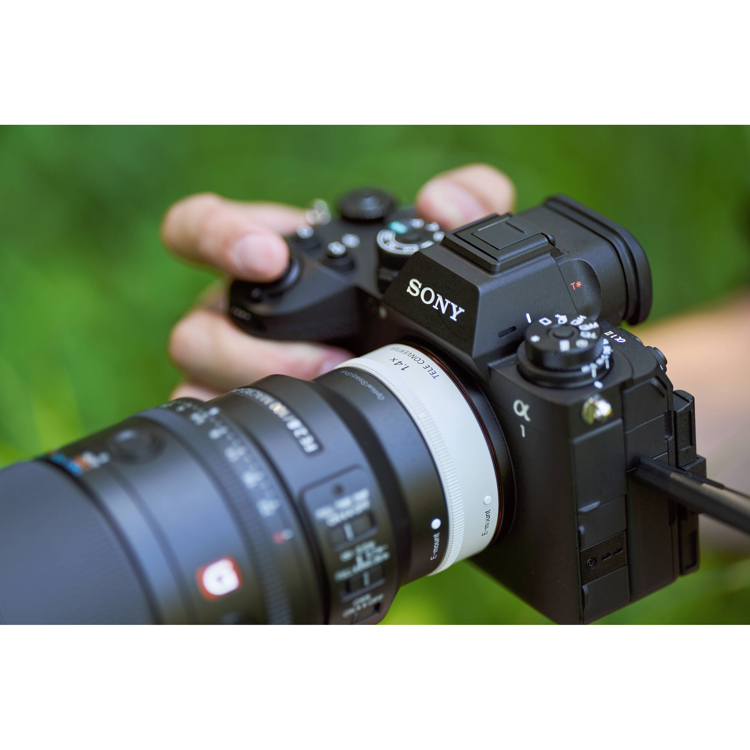 Sony 100mm Macro f2.8, FE 100mm Macro f/2.8 GM Lens (Sony E