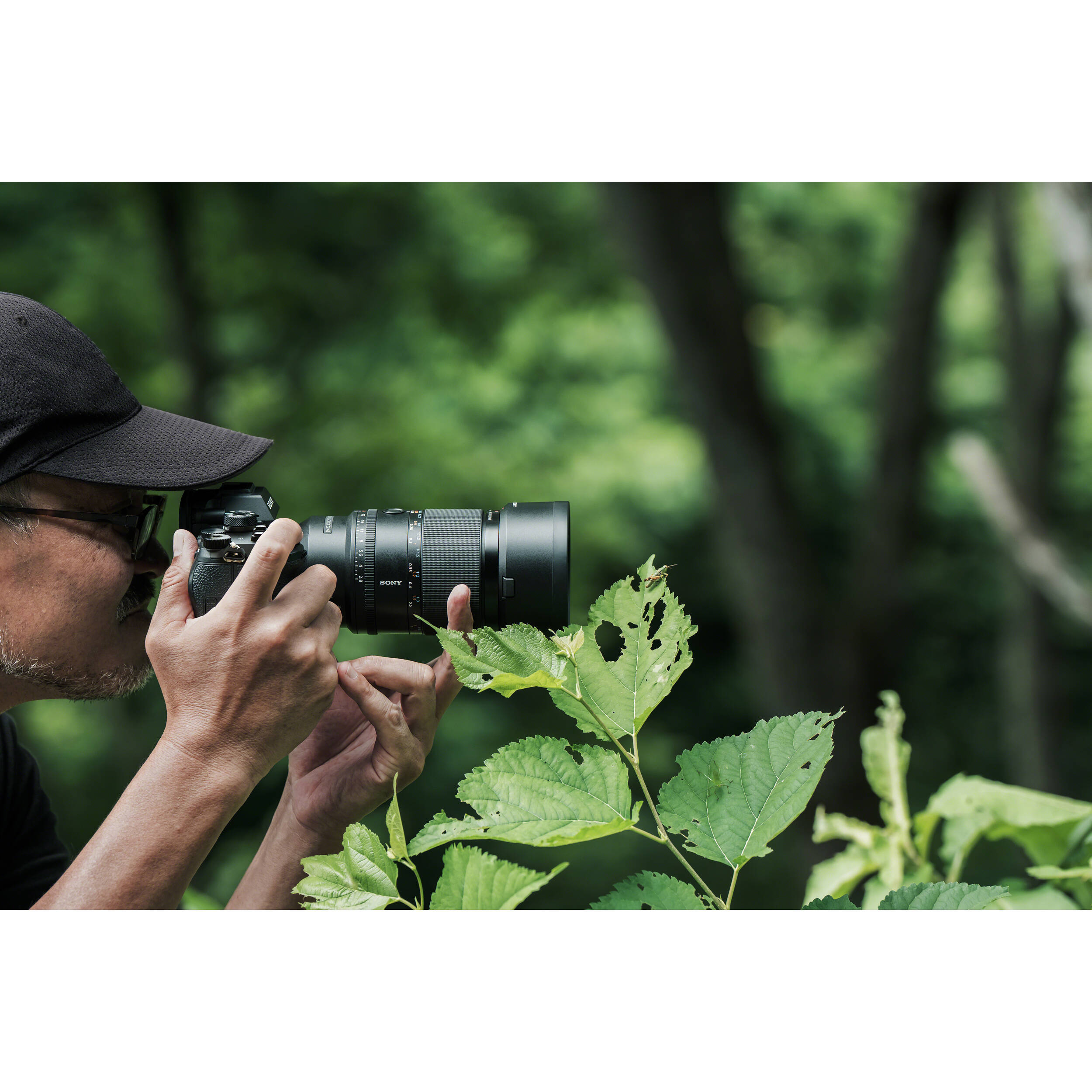 Sony 100mm Macro f2.8, FE 100mm Macro f/2.8 GM Lens (Sony E