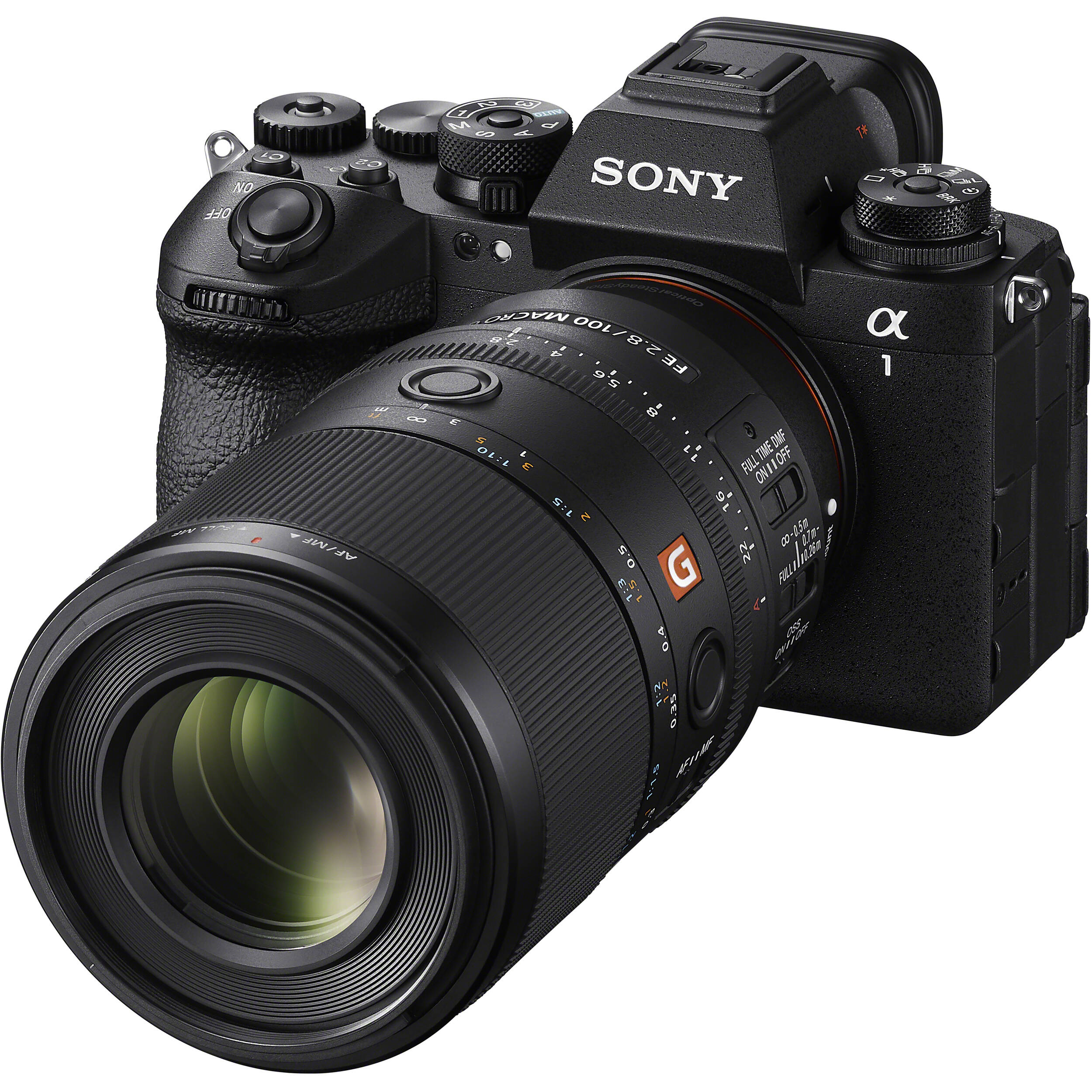 Sony 100mm Macro f2.8, FE 100mm Macro f/2.8 GM Lens (Sony E